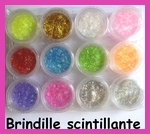 Pot de brindille scintillante pour Nail Art  (12 couleurs)