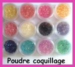 Pot de poudre coquillage pour Nail Art  (12 couleurs)